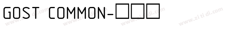 GOST COMMON字体转换
